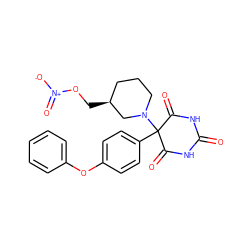 O=C1NC(=O)C(c2ccc(Oc3ccccc3)cc2)(N2CCC[C@H](CO[N+](=O)[O-])C2)C(=O)N1 ZINC000084709077