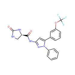 O=C1NC[C@H](C(=O)Nc2cc(-c3cccc(OC(F)(F)F)c3)n(-c3ccccc3)n2)N1 ZINC000169707187