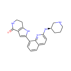 O=C1NCCc2[nH]c(-c3cccc4ccc(N[C@@H]5CCCNC5)nc34)cc21 ZINC000223408257