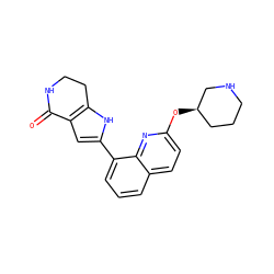 O=C1NCCc2[nH]c(-c3cccc4ccc(O[C@@H]5CCCNC5)nc34)cc21 ZINC000222446302