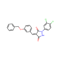 O=C1NN(c2ccc(Cl)c(Cl)c2)C(=O)/C1=C\c1cccc(OCc2ccccc2)c1 ZINC000000783639