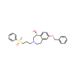 O=S(=O)(CCCN1CCc2cc(OCc3ccccc3)ccc2[C@@H](O)C1)c1ccccc1 ZINC000064549923