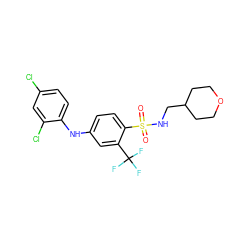 O=S(=O)(NCC1CCOCC1)c1ccc(Nc2ccc(Cl)cc2Cl)cc1C(F)(F)F ZINC000146012614