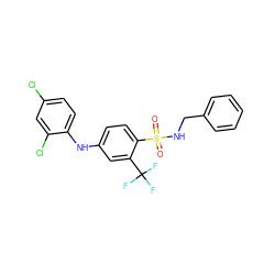 O=S(=O)(NCc1ccccc1)c1ccc(Nc2ccc(Cl)cc2Cl)cc1C(F)(F)F ZINC000146115238