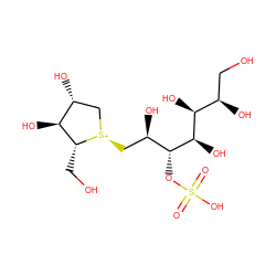 O=S(=O)(O)O[C@H]([C@H](O)C[S@+]1C[C@@H](O)[C@H](O)[C@H]1CO)[C@H](O)[C@@H](O)[C@H](O)CO ZINC000044460371