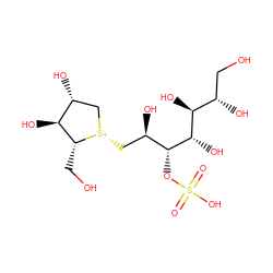 O=S(=O)(O)O[C@H]([C@H](O)C[S@@+]1C[C@@H](O)[C@H](O)[C@H]1CO)[C@@H](O)[C@@H](O)[C@@H](O)CO ZINC000205240661