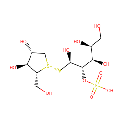 O=S(=O)(O)O[C@H]([C@H](O)C[S@@+]1C[C@@H](O)[C@H](O)[C@H]1CO)[C@H](O)[C@@H](O)CO ZINC000034635729