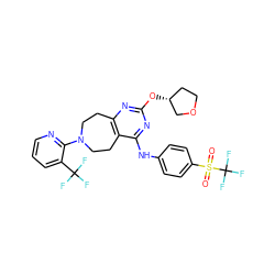 O=S(=O)(c1ccc(Nc2nc(O[C@@H]3CCOC3)nc3c2CCN(c2ncccc2C(F)(F)F)CC3)cc1)C(F)(F)F ZINC000144201721