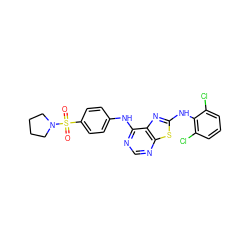 O=S(=O)(c1ccc(Nc2ncnc3sc(Nc4c(Cl)cccc4Cl)nc23)cc1)N1CCCC1 ZINC000042850903