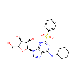 O=S(=O)(c1ccccc1)c1nc(NC2CCCCC2)c2ncn([C@H]3O[C@H](CO)[C@@H](O)[C@H]3O)c2n1 ZINC000049000099