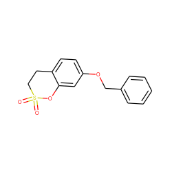 O=S1(=O)CCc2ccc(OCc3ccccc3)cc2O1 ZINC000096914362