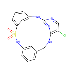 O=S1(=O)Nc2cccc(c2)CNc2nc(ncc2Cl)Nc2cccc1c2 ZINC000142436416