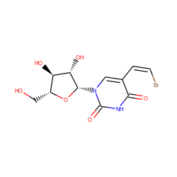 O=c1[nH]c(=O)n([C@@H]2O[C@H](CO)[C@@H](O)[C@@H]2O)cc1/C=C\Br ZINC000011616506