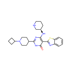 O=c1[nH]c(C2CCN(C3CCC3)CC2)nc(N[C@@H]2CCCNC2)c1-c1nc2ccccc2s1 ZINC001772611001