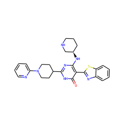 O=c1[nH]c(C2CCN(c3ccccn3)CC2)nc(N[C@@H]2CCCNC2)c1-c1nc2ccccc2s1 ZINC001772615186