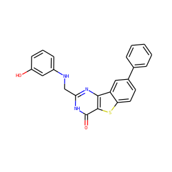 O=c1[nH]c(CNc2cccc(O)c2)nc2c1sc1ccc(-c3ccccc3)cc12 ZINC000045287392