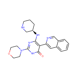 O=c1[nH]c(N2CCOCC2)nc(N[C@@H]2CCCNC2)c1-c1cc2ccccc2cn1 ZINC001772635765