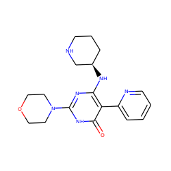 O=c1[nH]c(N2CCOCC2)nc(N[C@@H]2CCCNC2)c1-c1ccccn1 ZINC000220633398