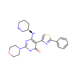 O=c1[nH]c(N2CCOCC2)nc(N[C@@H]2CCCNC2)c1-c1csc(-c2ccccc2)n1 ZINC000221553305