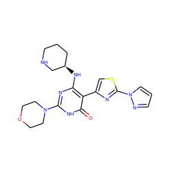 O=c1[nH]c(N2CCOCC2)nc(N[C@@H]2CCCNC2)c1-c1csc(-n2cccn2)n1 ZINC000220763890