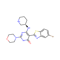 O=c1[nH]c(N2CCOCC2)nc(N[C@@H]2CCCNC2)c1-c1nc2cc(Br)ccc2s1 ZINC001772647880