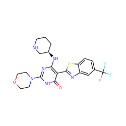 O=c1[nH]c(N2CCOCC2)nc(N[C@@H]2CCCNC2)c1-c1nc2cc(C(F)(F)F)ccc2s1 ZINC001772653739