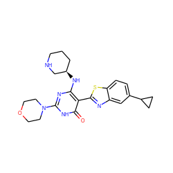 O=c1[nH]c(N2CCOCC2)nc(N[C@@H]2CCCNC2)c1-c1nc2cc(C3CC3)ccc2s1 ZINC001772593010