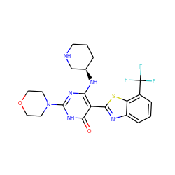 O=c1[nH]c(N2CCOCC2)nc(N[C@@H]2CCCNC2)c1-c1nc2cccc(C(F)(F)F)c2s1 ZINC001772621397