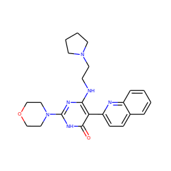 O=c1[nH]c(N2CCOCC2)nc(NCCN2CCCC2)c1-c1ccc2ccccc2n1 ZINC000205743304