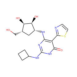 O=c1[nH]c(NC2CCC2)nc(N[C@@H]2C[C@H](CO)[C@@H](O)[C@H]2O)c1-c1nccs1 ZINC000205766929