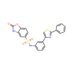 O=c1[nH]c2cc(S(=O)(=O)Nc3cccc(-c4csc(-c5ccccc5)n4)c3)ccc2o1 ZINC000169329341