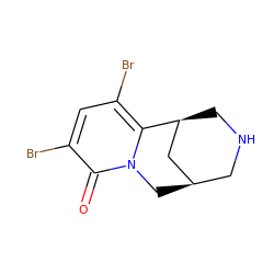 O=c1c(Br)cc(Br)c2n1C[C@@H]1CNC[C@H]2C1 ZINC000013519524