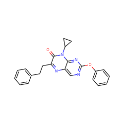 O=c1c(CCc2ccccc2)nc2cnc(Oc3ccccc3)nc2n1C1CC1 ZINC000004238681