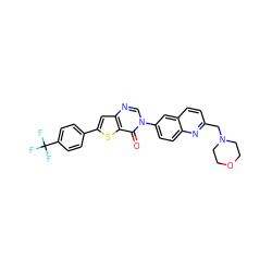 O=c1c2sc(-c3ccc(C(F)(F)F)cc3)cc2ncn1-c1ccc2nc(CN3CCOCC3)ccc2c1 ZINC000038149744
