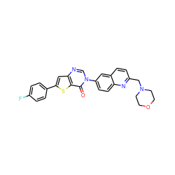 O=c1c2sc(-c3ccc(F)cc3)cc2ncn1-c1ccc2nc(CN3CCOCC3)ccc2c1 ZINC000038149746
