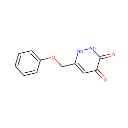 O=c1cc(COc2ccccc2)[nH][nH]c1=O ZINC000095589418