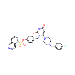 O=c1cc(N2CCN(Cc3ccc(F)cc3)CC2)n(Cc2ccc(OS(=O)(=O)c3cccc4cnccc34)cc2)c(=O)[nH]1 ZINC000205360858