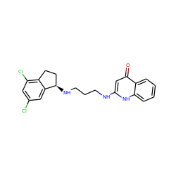 O=c1cc(NCCCN[C@@H]2CCc3c(Cl)cc(Cl)cc32)[nH]c2ccccc12 ZINC000013487796