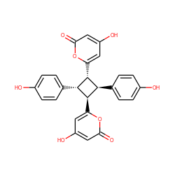 O=c1cc(O)cc([C@H]2[C@H](c3ccc(O)cc3)[C@H](c3cc(O)cc(=O)o3)[C@H]2c2ccc(O)cc2)o1 ZINC001772579415