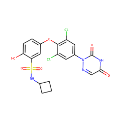 O=c1cnn(-c2cc(Cl)c(Oc3ccc(O)c(S(=O)(=O)NC4CCC4)c3)c(Cl)c2)c(=O)[nH]1 ZINC000013487253