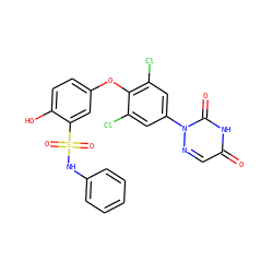 O=c1cnn(-c2cc(Cl)c(Oc3ccc(O)c(S(=O)(=O)Nc4ccccc4)c3)c(Cl)c2)c(=O)[nH]1 ZINC000027300136