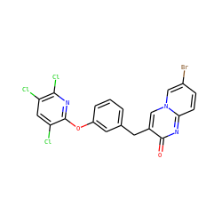 O=c1nc2ccc(Br)cn2cc1Cc1cccc(Oc2nc(Cl)c(Cl)cc2Cl)c1 ZINC000169331052