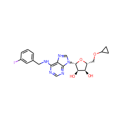 O[C@@H]1[C@@H](COC2CC2)O[C@@H](n2cnc3c(NCc4cccc(I)c4)ncnc32)[C@@H]1O ZINC000049775038