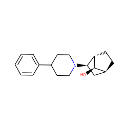 O[C@@H]1[C@H]2CC[C@H]1[C@H](N1CCC(c3ccccc3)CC1)C2 ZINC000100670580