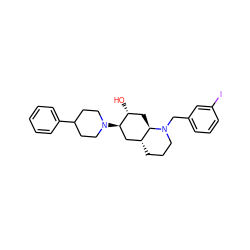 O[C@@H]1C[C@@H]2[C@H](CCCN2Cc2cccc(I)c2)C[C@H]1N1CCC(c2ccccc2)CC1 ZINC000013799377