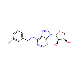 O[C@@H]1CO[C@@H](n2cnc3c(NCc4cccc(Br)c4)ncnc32)[C@@H]1O ZINC000043073757