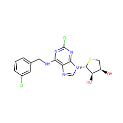 O[C@@H]1CS[C@@H](n2cnc3c(NCc4cccc(Cl)c4)nc(Cl)nc32)[C@@H]1O ZINC000028656113