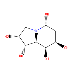 O[C@H]1[C@H]2[C@H](O)[C@H](O)CN2[C@H](O)C[C@H]1O ZINC000014616443