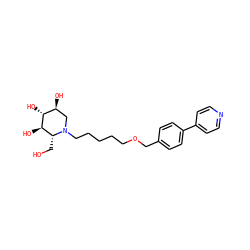 OC[C@@H]1[C@@H](O)[C@H](O)[C@@H](O)CN1CCCCCOCc1ccc(-c2ccncc2)cc1 ZINC000299840142