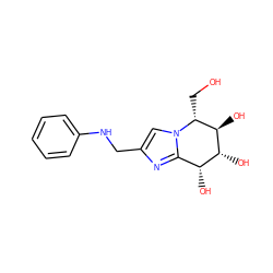 OC[C@@H]1[C@@H](O)[C@H](O)[C@H](O)c2nc(CNc3ccccc3)cn21 ZINC000016052631